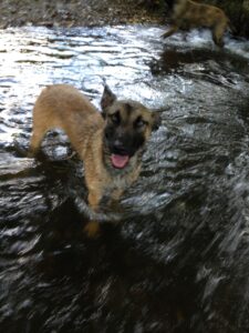 Herplaatsing Angel voor het eerst in het water