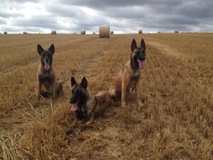 Angel Donna en Senna