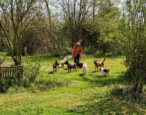 Hondentrainer Leon Brinkers