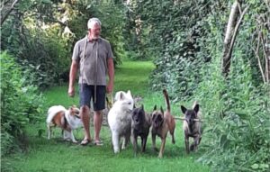 roedetraining en heropvoeden hond