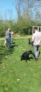 Wandelen als spiegel voor leiderschap