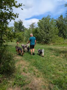 waarom jouw hond je spiegel is