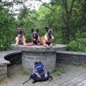 waarom bijt, blaft of gromt mijn hond