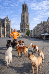 een betere band midden in Breda met je hond